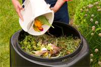 Compost bin