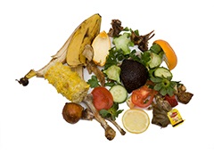 Food scraps