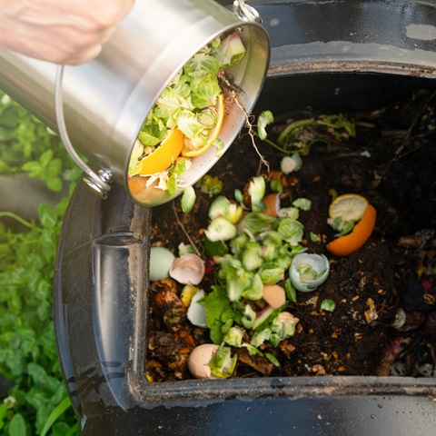 Food scraps being emptied into a compost bin 