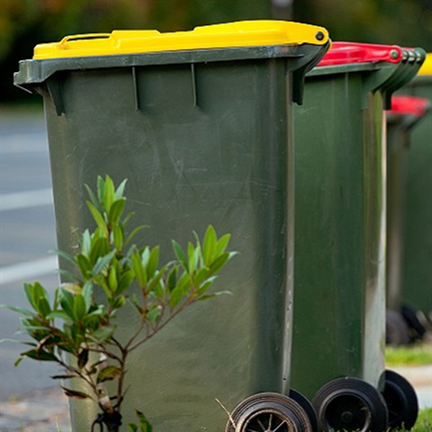 Residential bins on the kerb