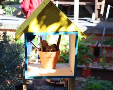 Best Community Garden - Second Place - CSIRO