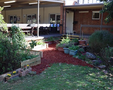 Best Community Garden - Second Place - CSIRO