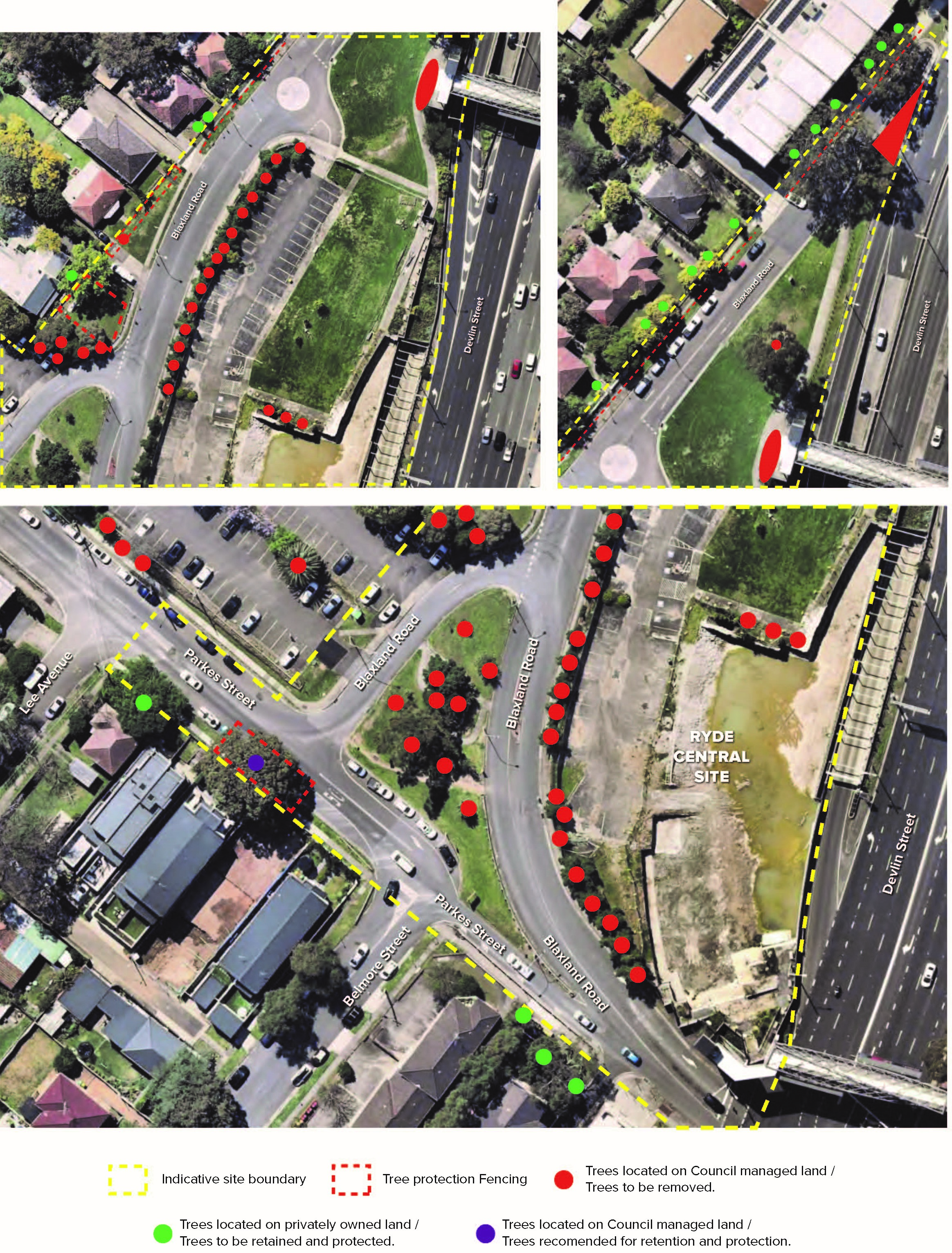 Tree removal map showing where trees will be removed and retained