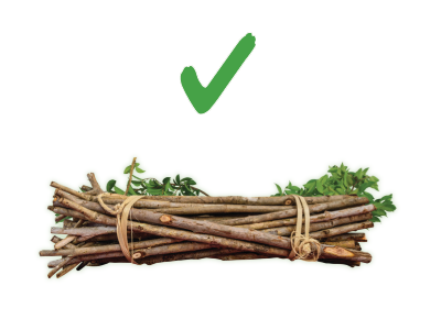 bundled sticks and branches with a green tick