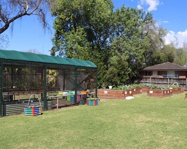 Best School Gardens - Second Place - Kent Road Public School