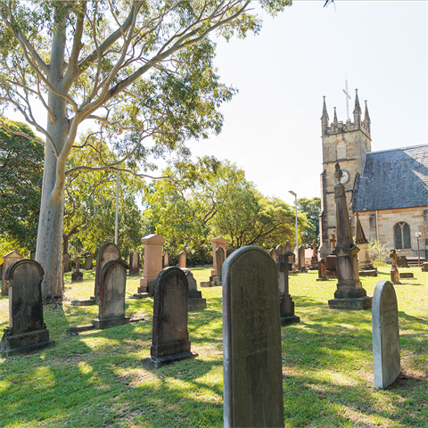 View of St Anne's Cemetery, several headstones stand in the grass, under the shade of a tall tree