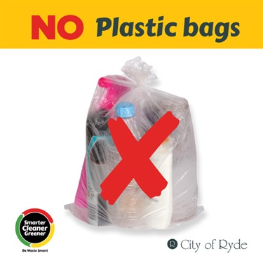 No plastic in bags
