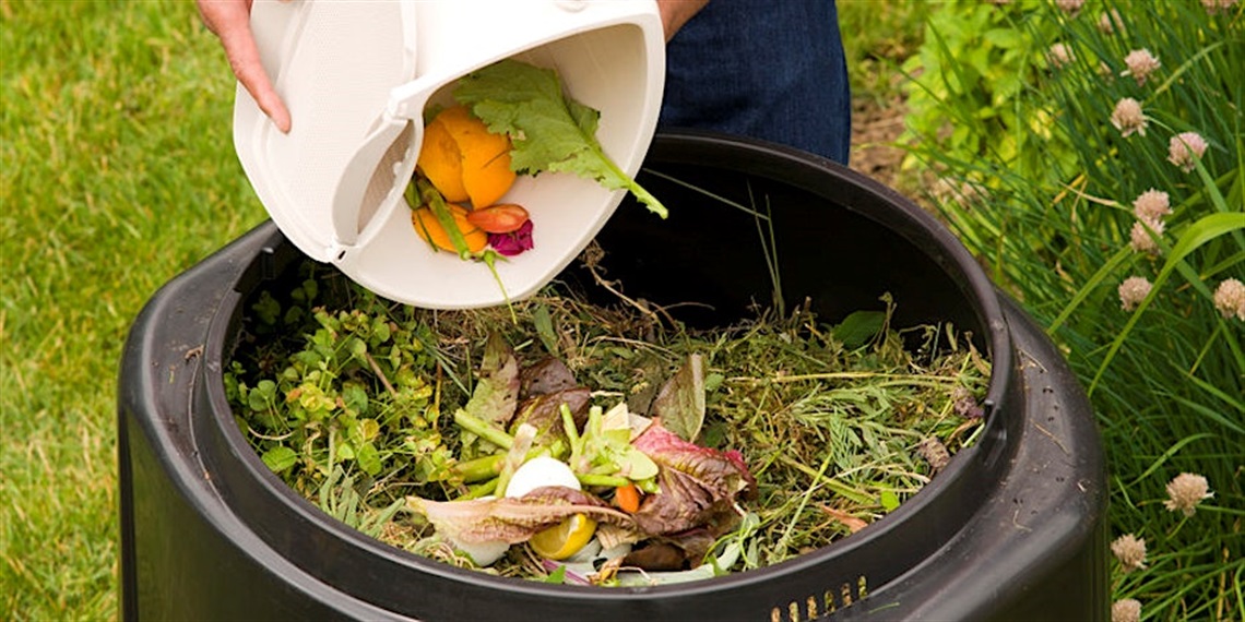 Composting Workshop