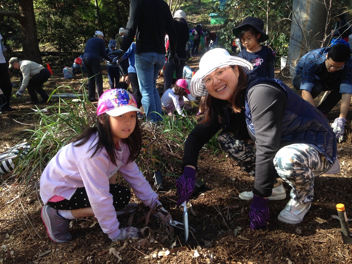 Active Kids: Guided Walk and Tree Planting / 5-12 Yrs 